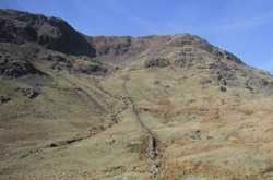 Red	Screes