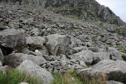 The trap in the foreground in the boulder field