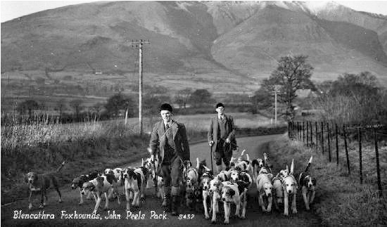 Blencathra Foxhounds, John Peel's Pack