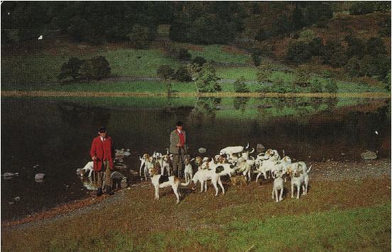 Coniston Foxhounds at Rydalwater