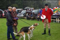 Rydal Show