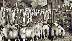 Shepherds' Meet