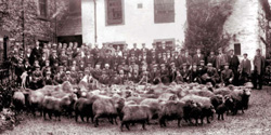 Shepherds' Meet outside Dun Bull Hotel