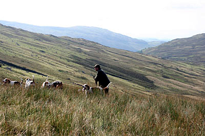 Hunting in the Fells